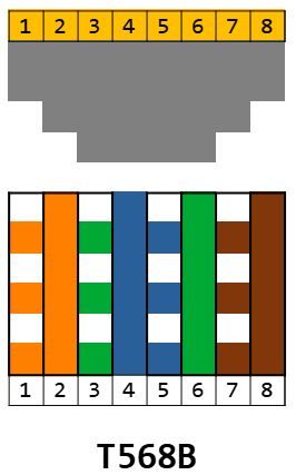 T568B
